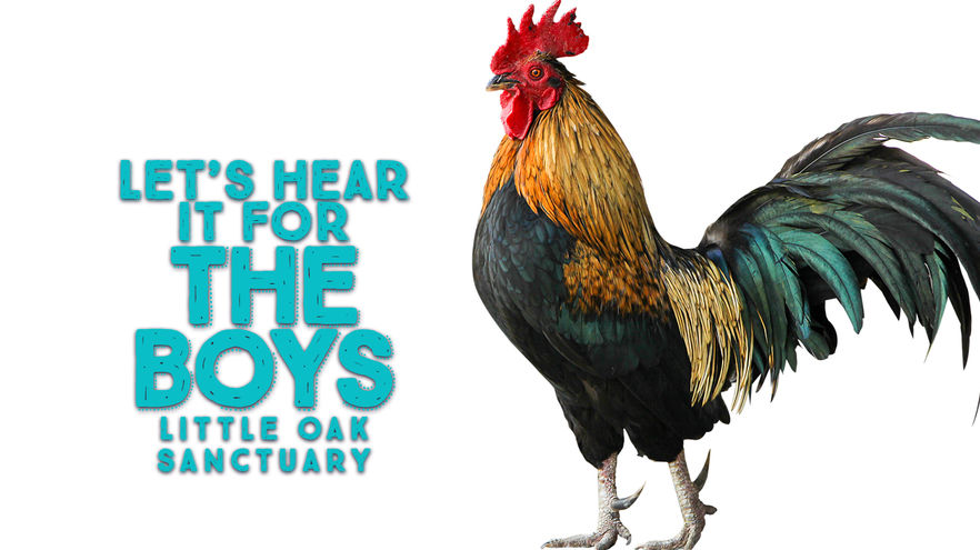 Let's hear it for the boys